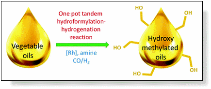 Fig. 12